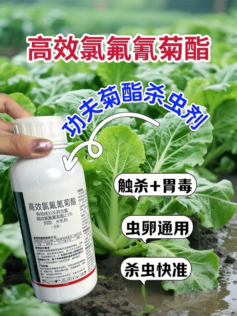 张家口代生中心:农药对供卵代生妈妈的危害